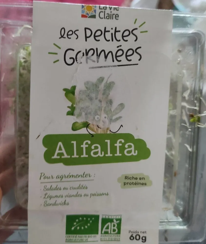 Les petites germée - Alfafa