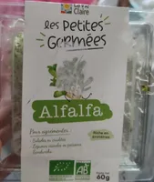Les petites germée - Alfafa