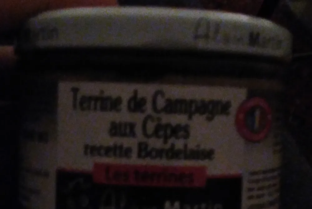 Alain Martin Terrine Bordelaise aux Cepes