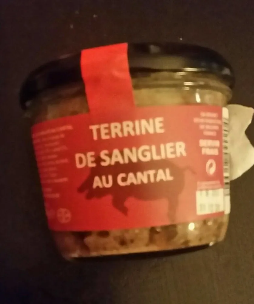 Terrine de sanglier