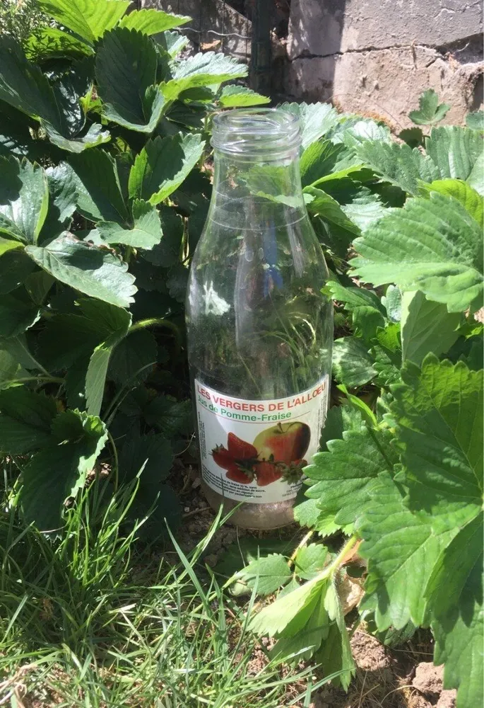 Jus de pomme-fraise