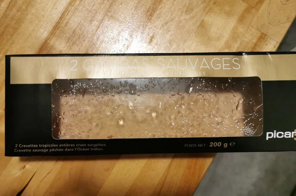 Gambas sauvages