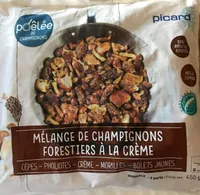 Melange de champignons forestiers