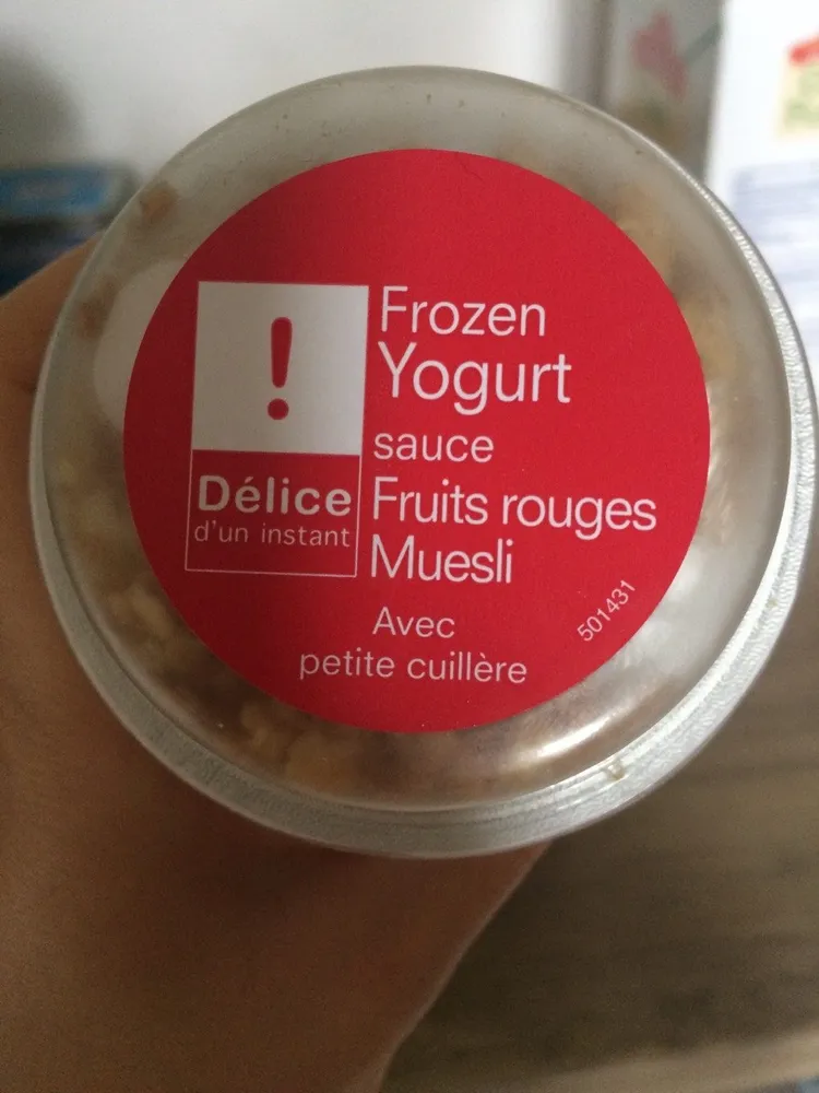 Frozen Yogurt Sauce Fruit Rouges Muesli