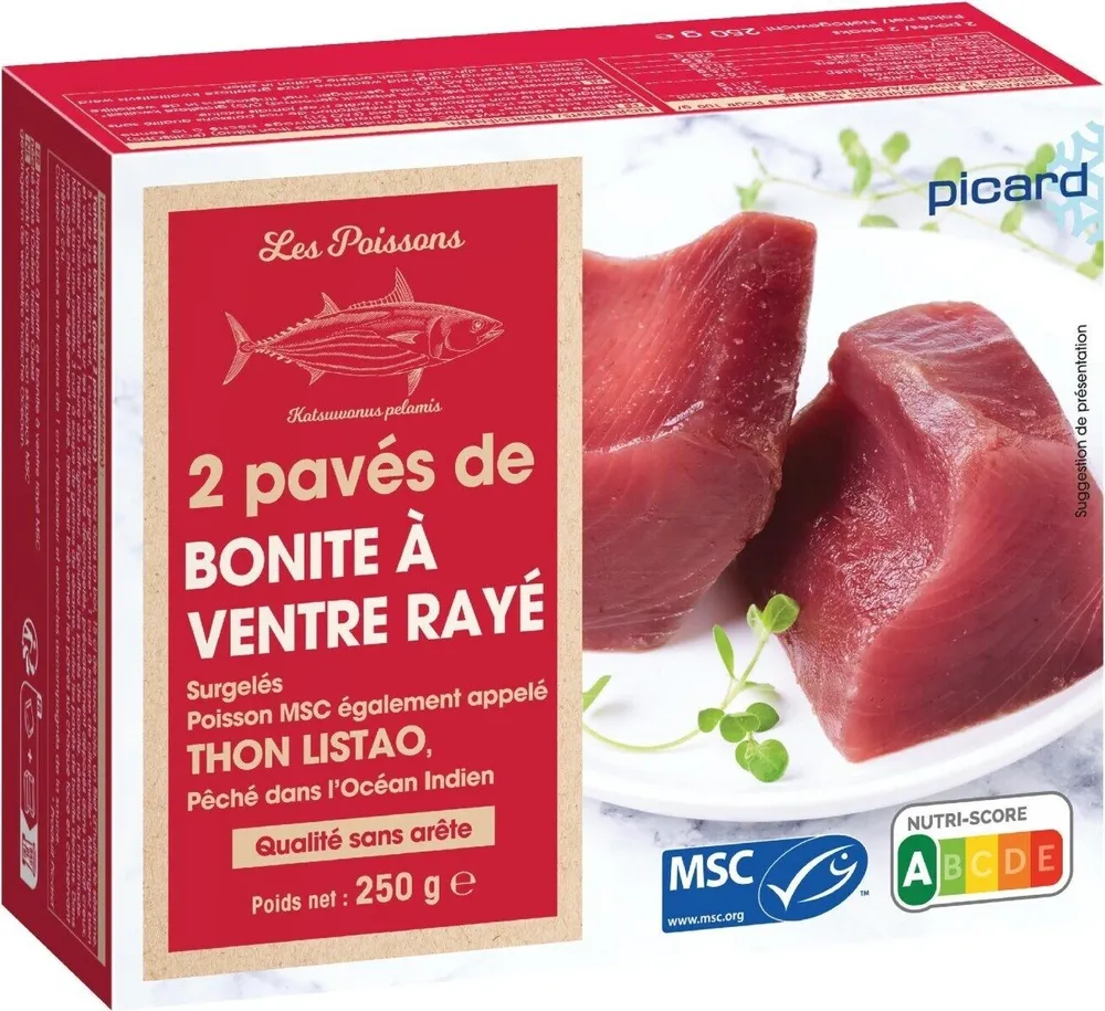 2 pavés  de Bonite à ventre rayé