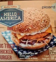 Big fried chicken burger