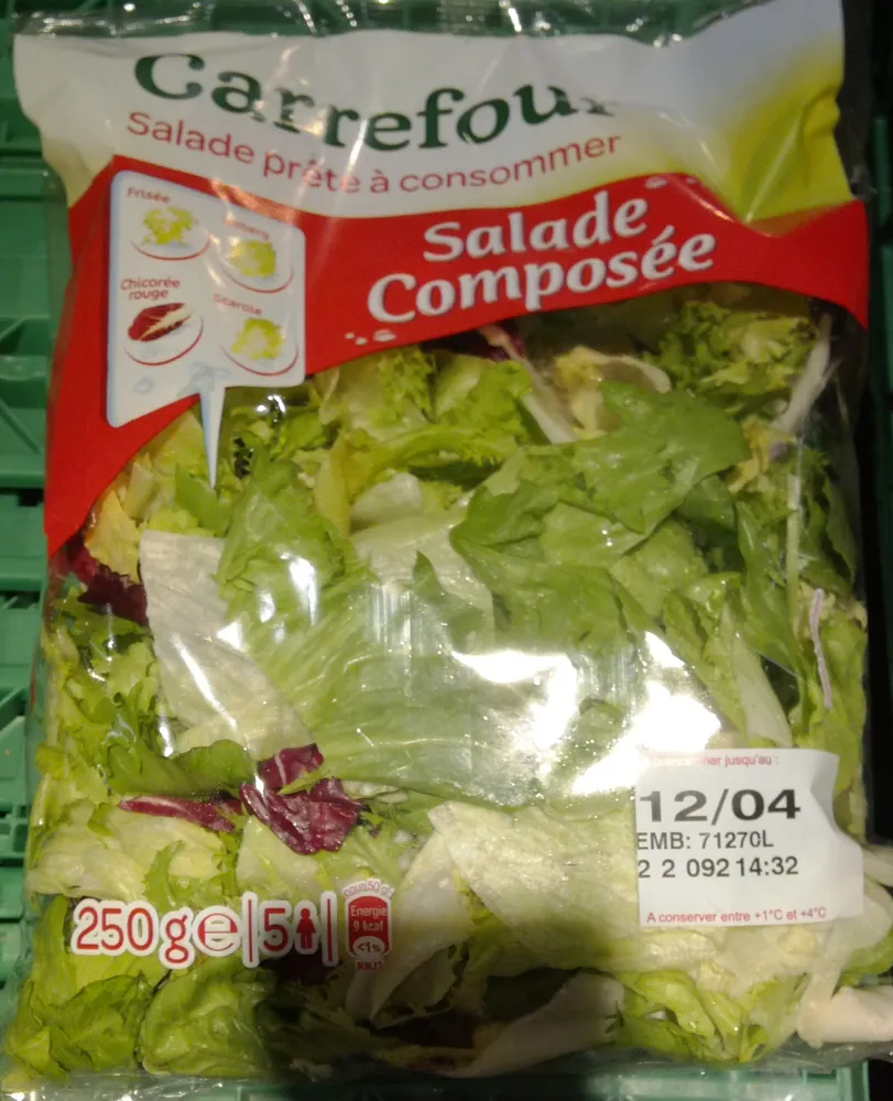 Salade Composée Frisée Iceberg Scarole Chicorée rouge