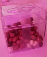 Raisins secs enrobés de chocolat