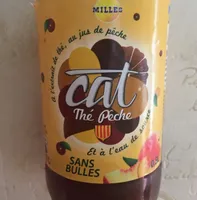 Cat Thé pêche