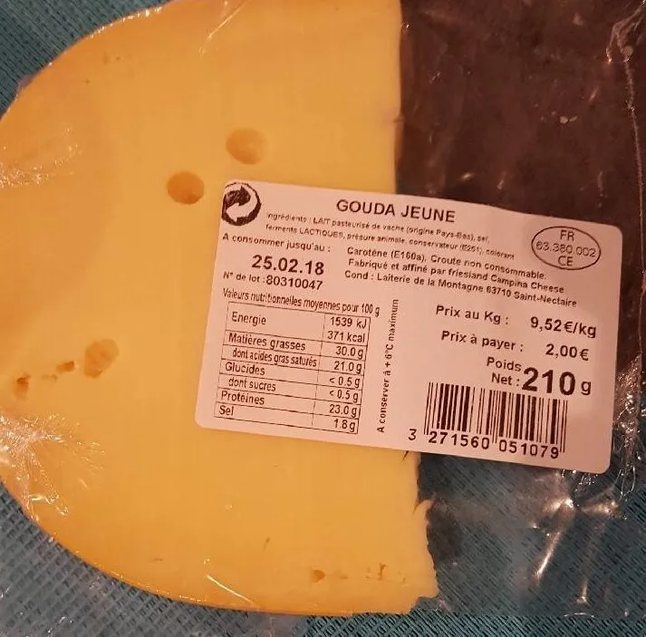 Gouda jeune