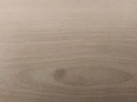 Petit Pot de Crème Biscuit Clean