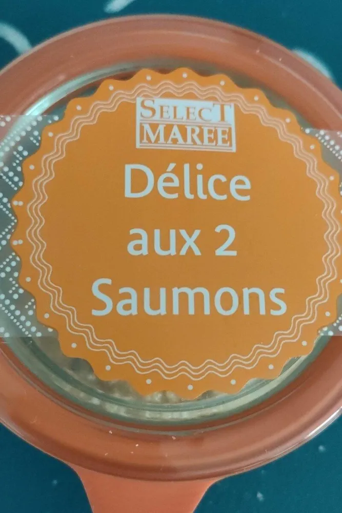 Délice aux 2 saumons