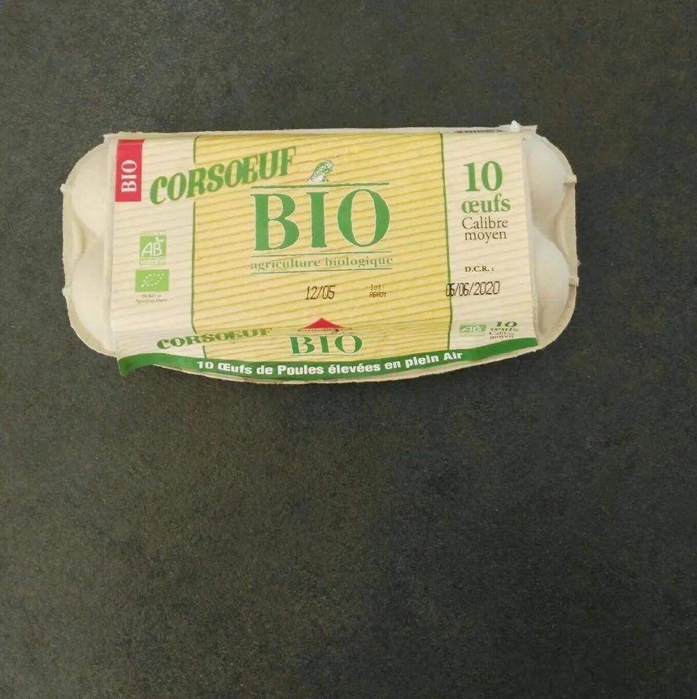 Oeufs bio agriculture biologique