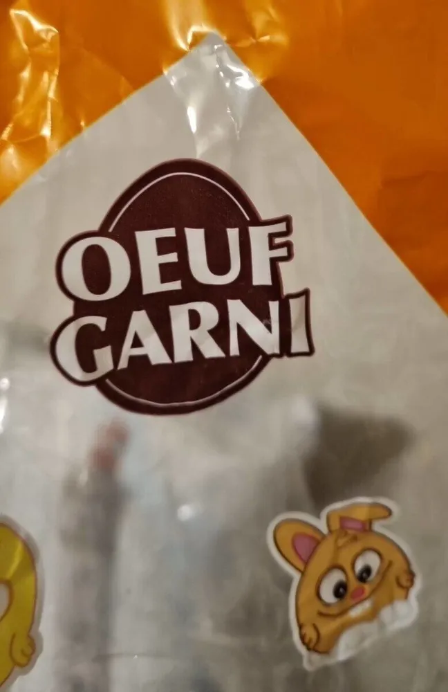 Moulage de chocolat au lait decore avec fritures en choc au lait