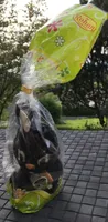 Chocolat noir de pâques