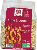 Orge à Germer