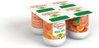 Fruits Mixés Abricot Goyave - Dessert Végétal