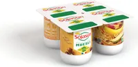 Yaourt au Soja fermenté, aux fruits et au muësli