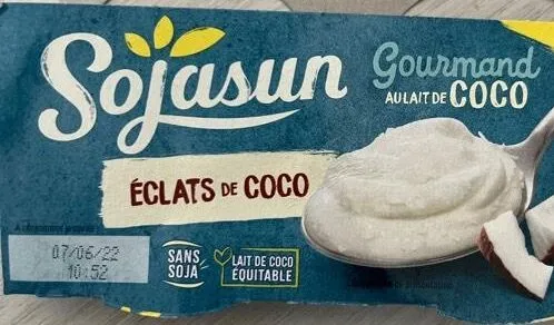 Dessert lait de coco éclats de coco