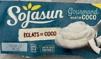 Dessert lait de coco éclats de coco