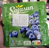 Yogur natural arandanos