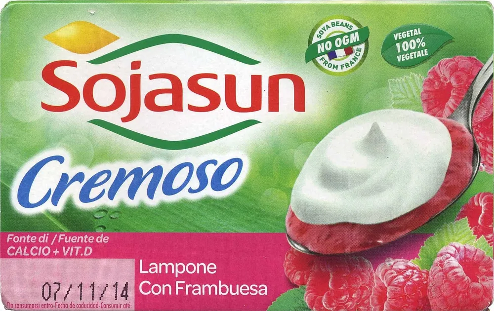Postre de soja cremoso con frambuesa