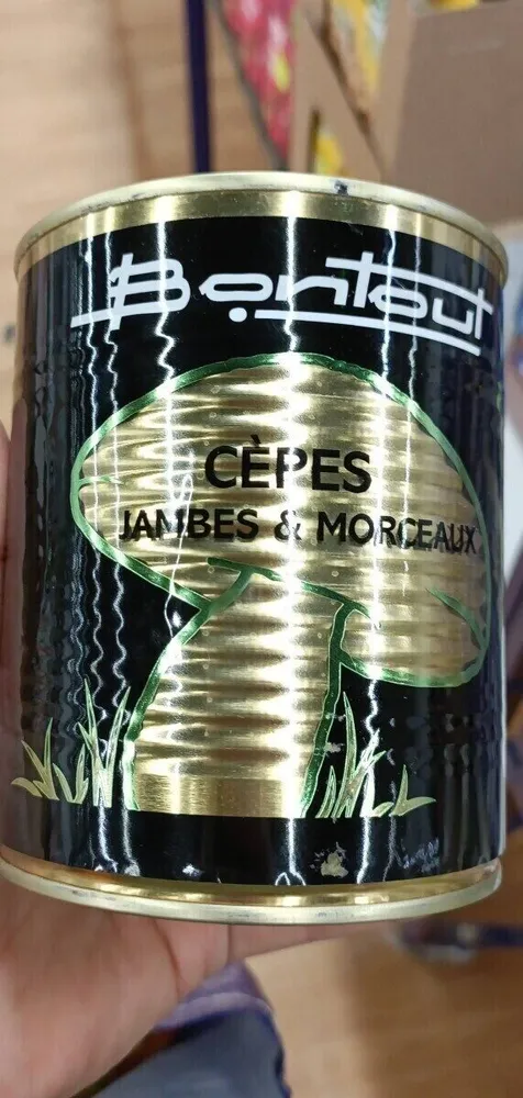 Jambes Et Morceaux De Cèpes
