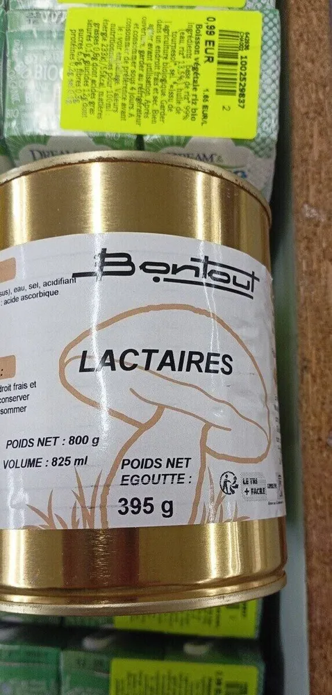 Lactaires