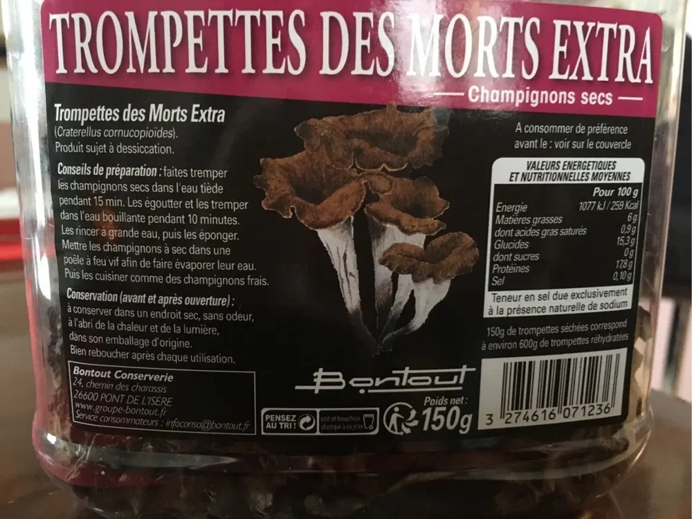 Trompettes des morts extra