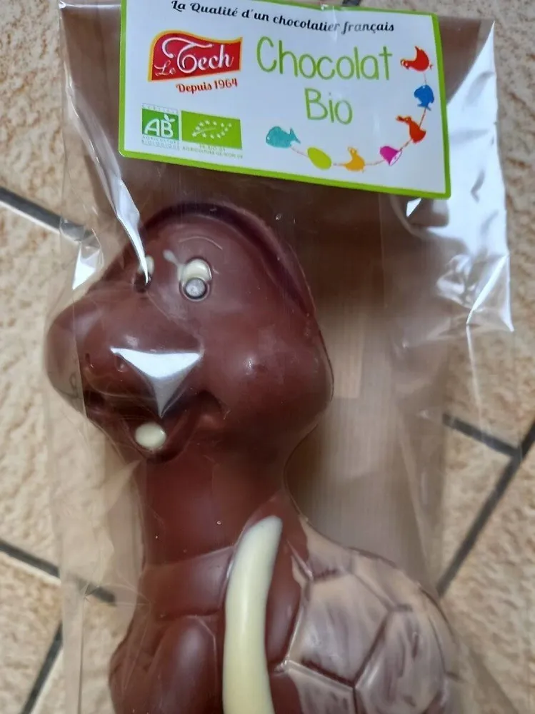Tortue chocolat lait bio