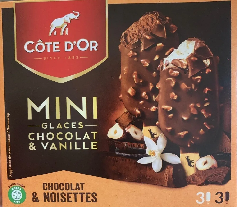 Mini glaces chocolat et vanille noisettes