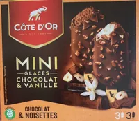 Mini glaces chocolat et vanille noisettes
