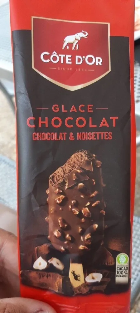 Glace chocolat - chocolat et noisettes