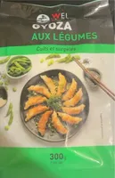Gyoza aux legumes