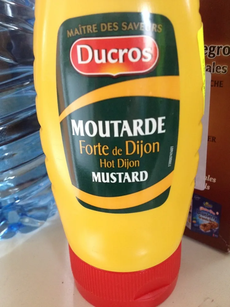 Moutarde forte de Dijon