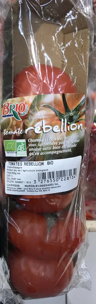 Tomate Rébellion