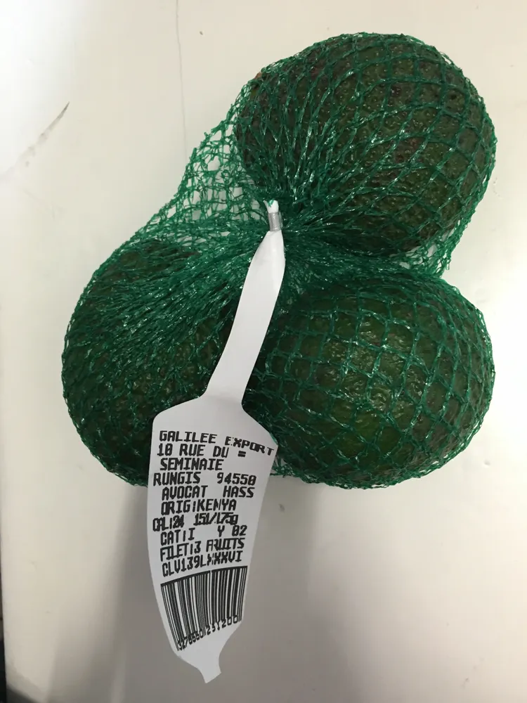 Avocat Hass