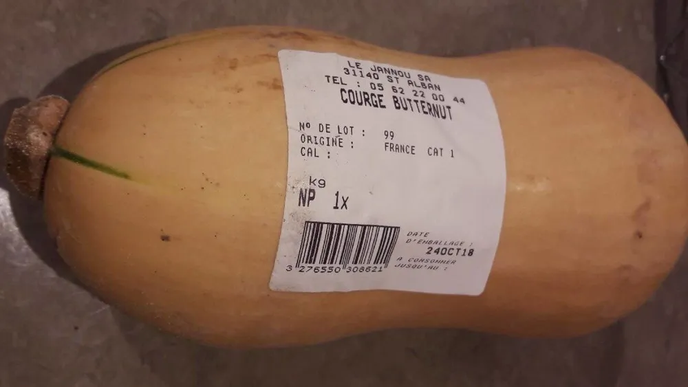 courge butternut