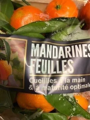 Mandarines feuille