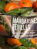 Mandarines feuille