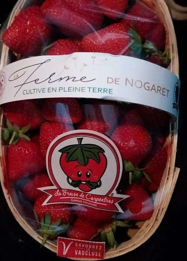 La fraise de carpentras