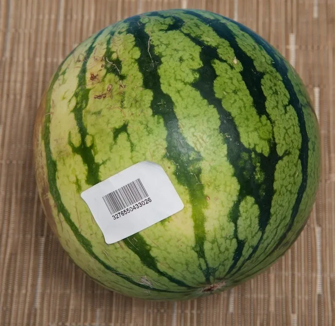 Pastèque