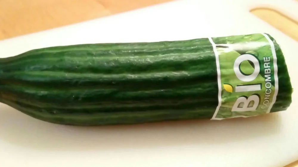Concombre Bio