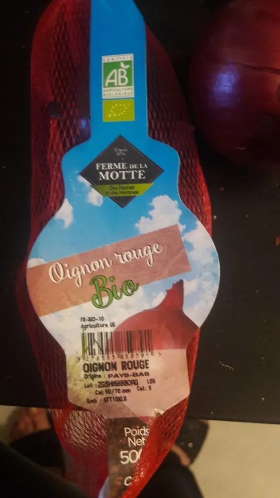 Oignon rouge