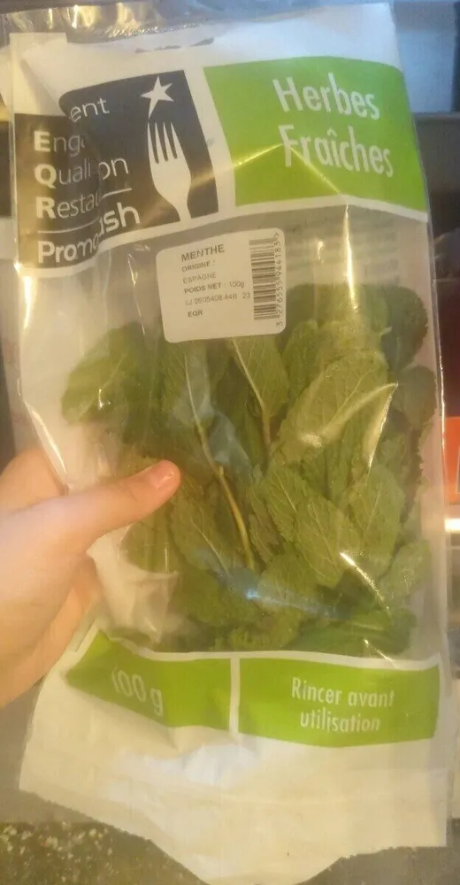 menthe fraîche