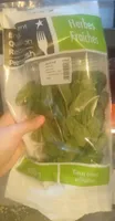 menthe fraîche
