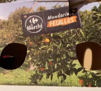 Mandarines feuilles le Marché