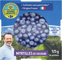 Myrtilles de sologne