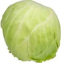 Salade Laitue