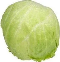 Salade Laitue